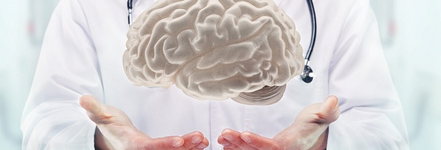 Ученые нашли связь между употреблением фастфуда и здоровьем мозга