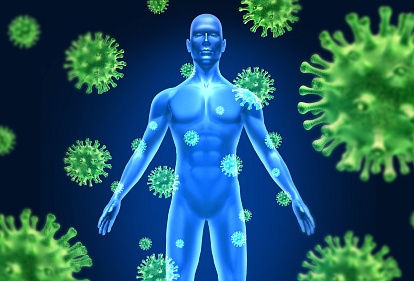 Исследование показало, что иммунитет связан со здоровьем кишечника и диетой