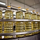 Россиянам назвали способ правильно выбрать подсолнечное масло