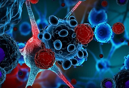 Ученые обнаружили важнейшую связь между синтезом холестерина и прогрессированием рака