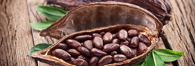 Врачи объяснили пользу какао для женщин старше 50 лет