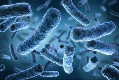 Исследование: Проблема микробной антибиотикорезистентности в животноводстве