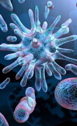 Специалисты Роспотребнадзора рассказали о смертельно опасной бактерии
