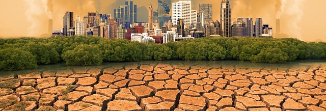 МОМ: Климатические изменения угрожают жизням 3,6 млрд человек по всему миру
